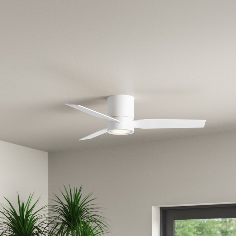 White cheap modern fan